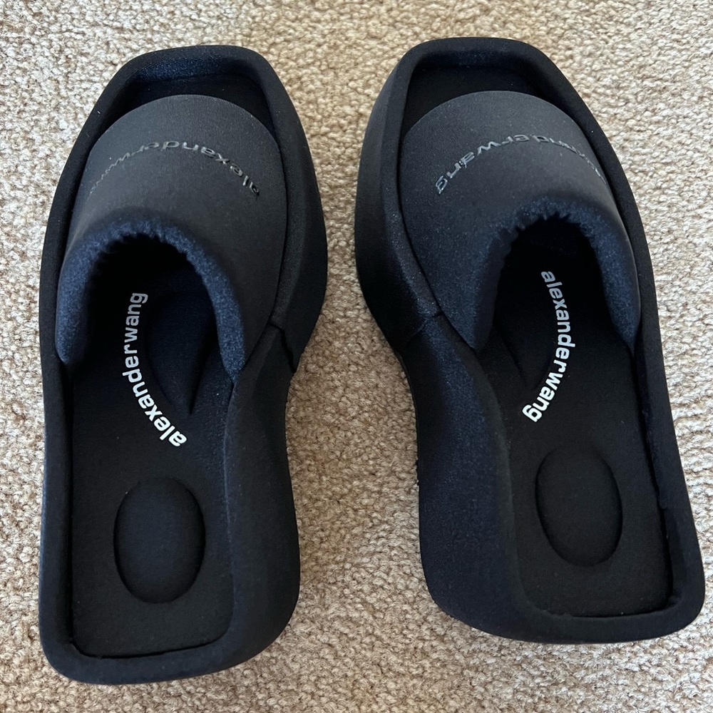 Alexander want platform